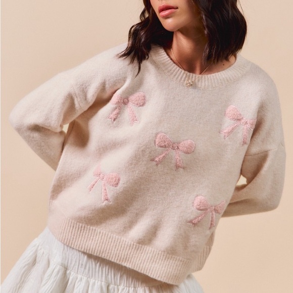 Embroidered Ribbon Round Neck Sweater in Blush Pink,All Products : American Fashion Style Bags On Sale